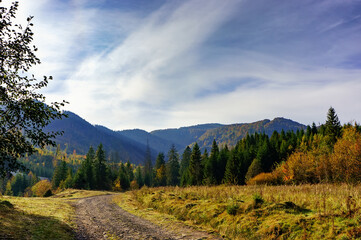 Autumn landscape in the Carpathians. A dirt road leads to the mountain peaks. Early autumn in the...