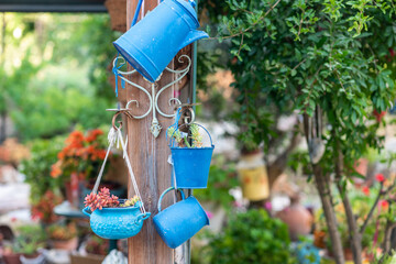 Reduce, reuse, recycle planter craft ideas. Second-hand kettles, saucepans, small bucket and old...