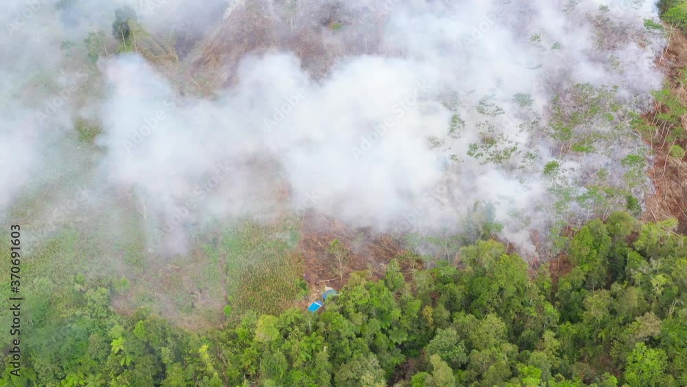 Wall mural aerial drone of forest fire smoke on the slopes hills. farmers started a fire to expand their land. 