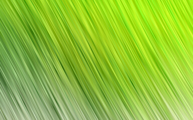 Fototapeta premium Light Green vector background with curved circles.