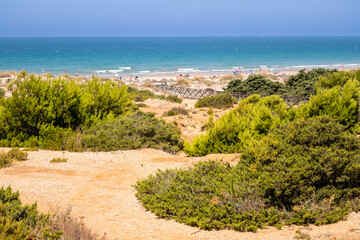 Sand dunes that give access to La Barrosa beach in Sancti Petri, Cádiz, Spain.