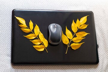 Closed laptop with yellow leaves and mouse on the top. Autumn season online workplace.