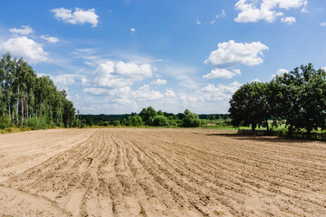 Fototapeta na wymiar Farming field landscape. Agriculture summer background. Countryside sandy ground ready for sowing with seeds.