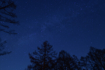 Naklejka premium キャンプ場 星