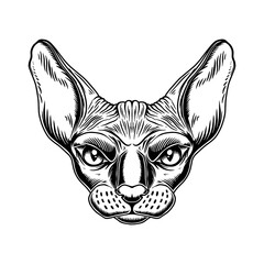 Illustration of head of Sphynx cat breed in vintage monochrome style. Design element for logo, emblem, sign, poster, card, banner. Vector illustration
