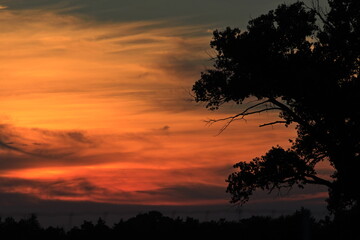 Fototapeta na wymiar Sunset out in the Kansas countryside with a colorful sky and a tree silhouette.