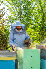 Beekeeper at Work. The beekeeper saves the bees.