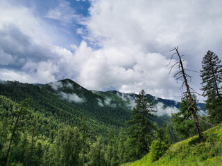 Valleys of the Altai mountains