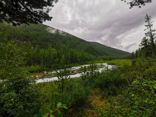Valleys of the Altai mountains