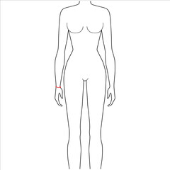 Women to do wrist measurement fashion Illustration for size chart. 7.5 head size girl for site or online shop. Human body infographic template for clothes. 