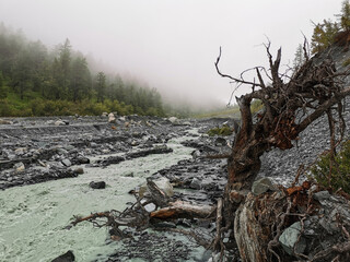 Valleys of the Altai mountains