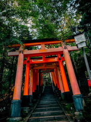 Fototapeta na wymiar japanese famous temple gate (Fushimi-Inari) 