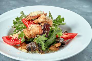 Appetizing salad with tomatoes, rucola and grilled turkey in a white plate. Concrete background