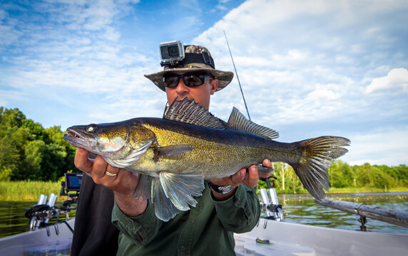 Summer Zander Fishing From Small Boat