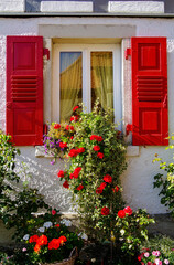 Fototapeta na wymiar Fenster mit weißem Rahmen und roten Fensterläden und rote Rosen davor