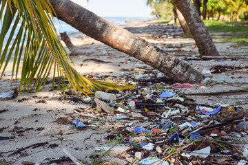 Guatemala beach detail with palm trees filled with plastic of different colors