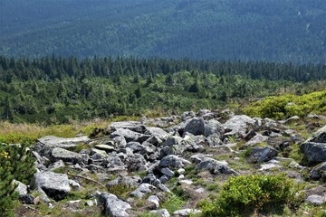 Fototapeta na wymiar Kamienie w górach 