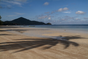 boats, white sand, coconut trees hanging over the beach in Koh Tao, Thailand