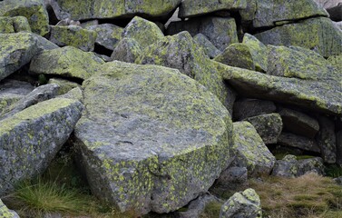 Zielone skały 
