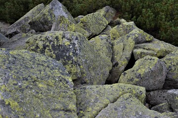 Fototapeta na wymiar Zielone skały 