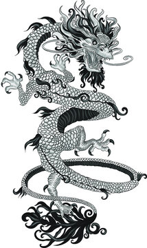 Chinese dragon black and white tattoo sketch vector illustration print