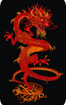 red traditional Chinese dragon symbol on a black background  vector illustration