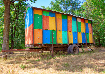 Fototapeta na wymiar Colorful wagon with beehives . Mobile coach for honey production