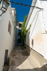 Fototapeta na wymiar Narrow street of a town in southern Spain