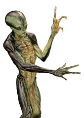 3D Rendering Green Alien on White