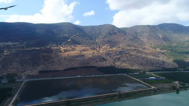 Pelicans flying near the drone, over pools and fields in the Hulla valley, Israel