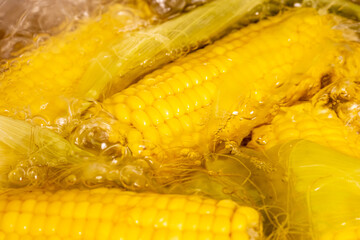 Sweet yellow corn in boiling water. Close-up