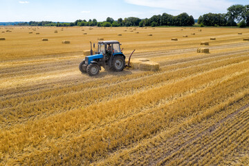 Obraz premium Round bales are bales of hay, straw or forage rolled in the shape of a large cylinder. When the legumes grow to a certain height, they are cut and dried in the field by the heat of the sun