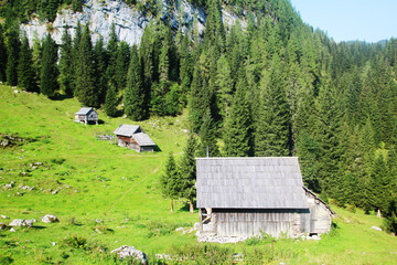 Planina Blato, traditional pasture, Triglav, Slovenia	