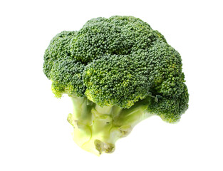 Fresh green broccoli isolate on white. Healthy food concept