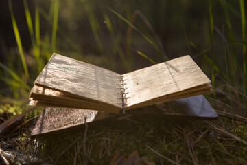 Fototapeta premium Vintage open notepad in nature with blank pages.