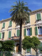 Naklejka premium Schöne Palme in Dolceaqua, Italien