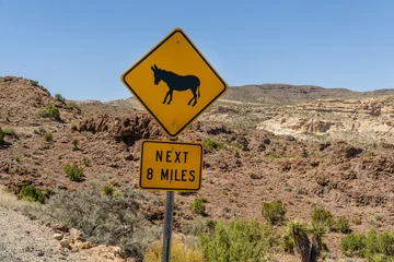 Poster Along route 66, towards the village of Oatman  © Roberto