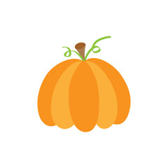 Autumn pumpkin vector illustration. Hand drawn fall pumpkin vegetable. Isolated.