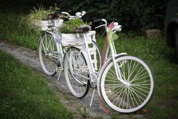 weiße Fahrräder