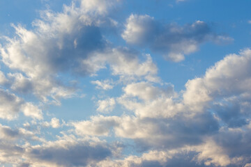 Obraz premium clouds in yellow sunset light. blue sky background in the evening