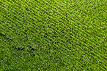 Aerial view of fields
