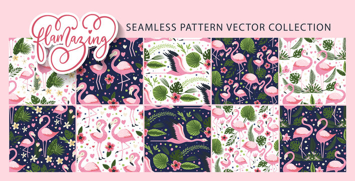 Flamingo bird seamless pattern vector set. Tropical summer background collection. Exotic animal tropic textile art. Flamazing jungle wallpapers.