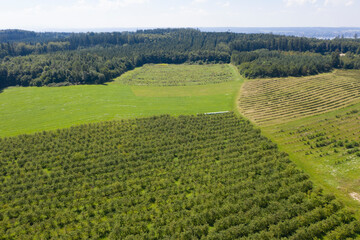 Fototapeta na wymiar Aerial view of fields