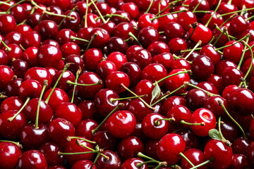 Sweet red cherries as background, closeup view