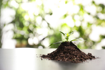 Pile of soil with young seedling on table against blurred background. Space for text