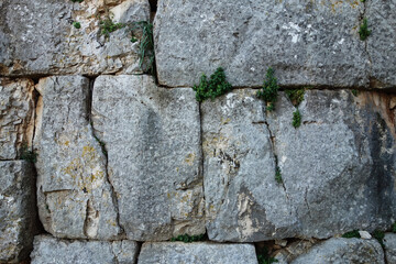 ancient wall of  Norba, Latina, Italy