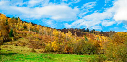 autumn landscape. panorama of autumn mountains and trees with yellow and green leaves.