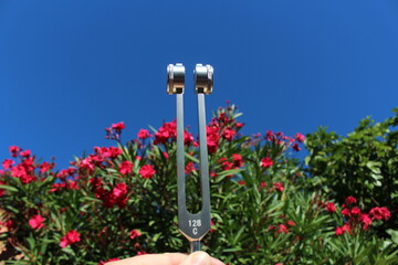 diapason th&eacute;rapeuthique m&eacute;decin non conventionnelle