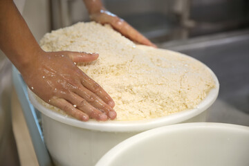 Worker pressing curd into mould at cheese factory, closeup