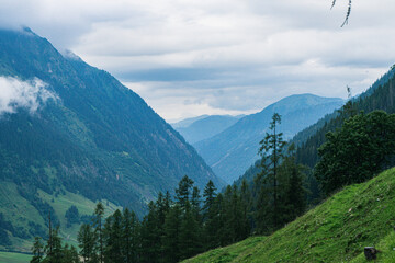 Green mountains, Alps, Austria 